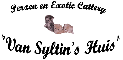 Op de foto in het logo het eerste nestje van mijn cattery. V.l.n.r.: Fay, Bonny en Mr. Ed van Syltin's Huis.